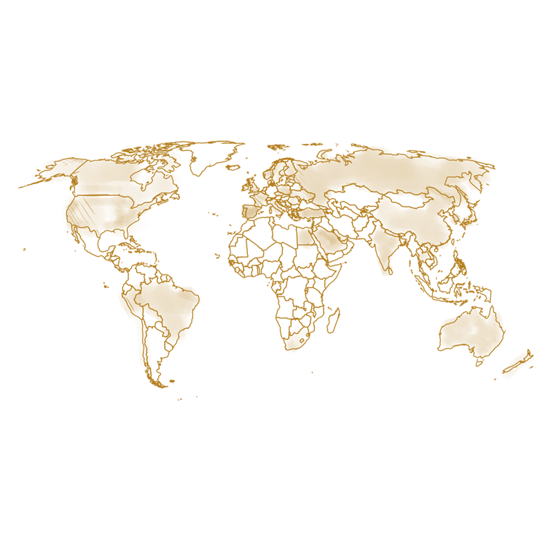 World map